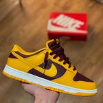 Nike Dunk low retro